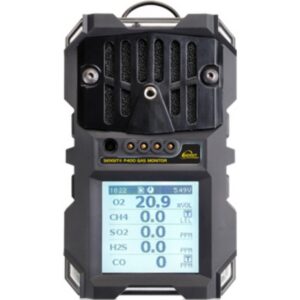 Portable Multi Gas Monitor - Sensit Type P400