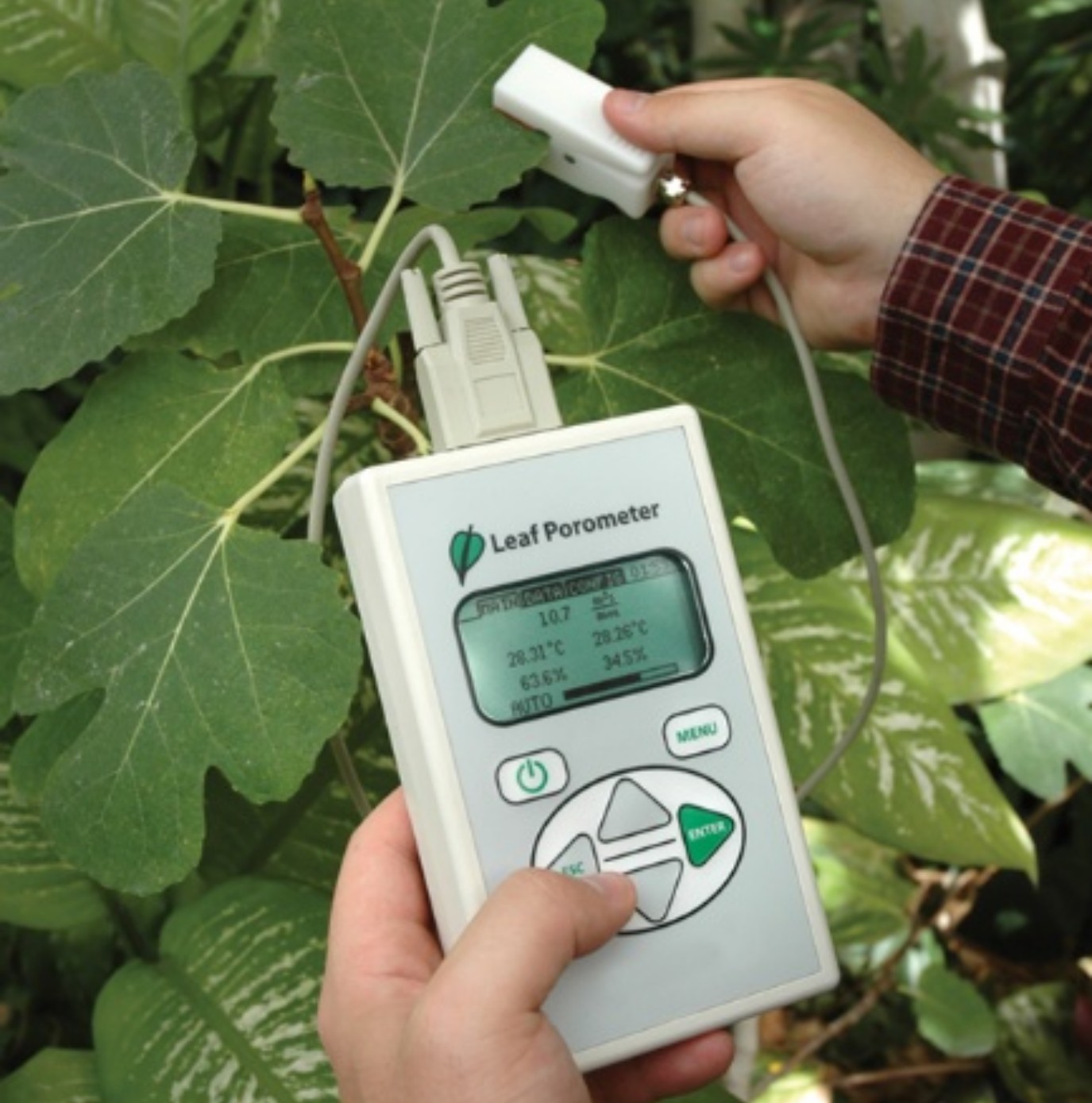 Leaf Porometer - Type WTA-220