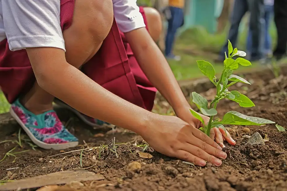 anak kecil sd mengikuti acara penanaman pohon belajar lingkungan hidup
