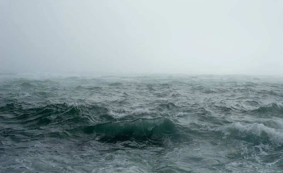 dampak buruk pengasaman laut