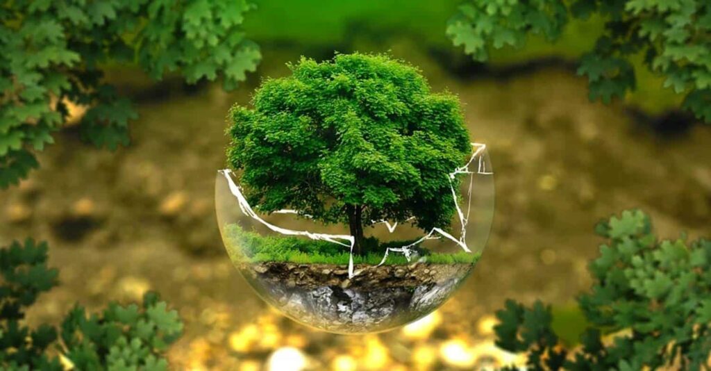 lingkungan hutan pohon rindang di dalam kaca pecah