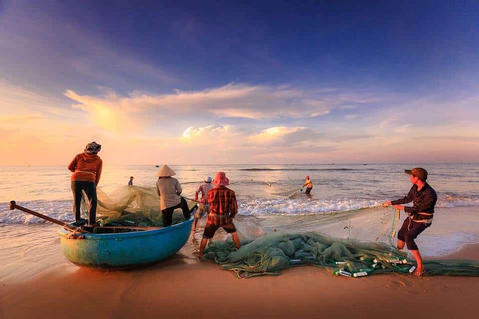 menangkap ikan di pantai laut dengan jaring