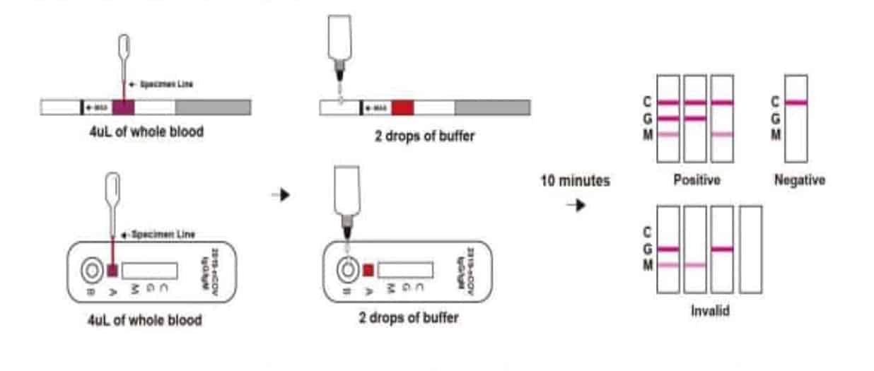 rapid test kit covid 19 corona virus uji coba lab