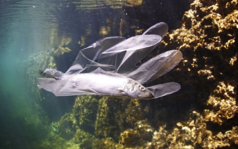 sampah plastik di laut